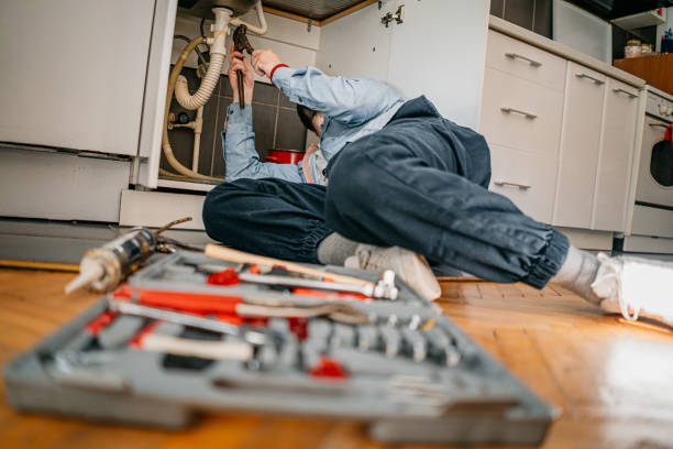 Best Plumbing Services Near Me  in Girard, IL